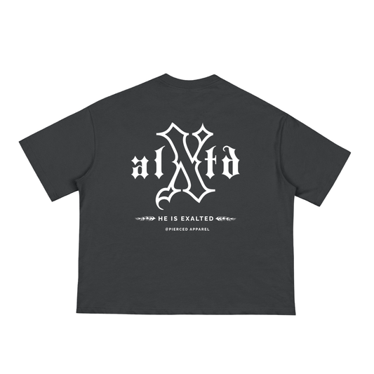 Exalted Loose Boxy Tee